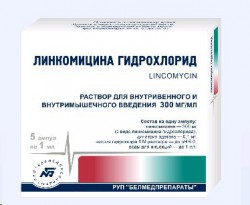 Линкомицина гидрохлорид, р-р д/инф. и в/м введ. 300 мг/мл 1 мл №10 ампулы